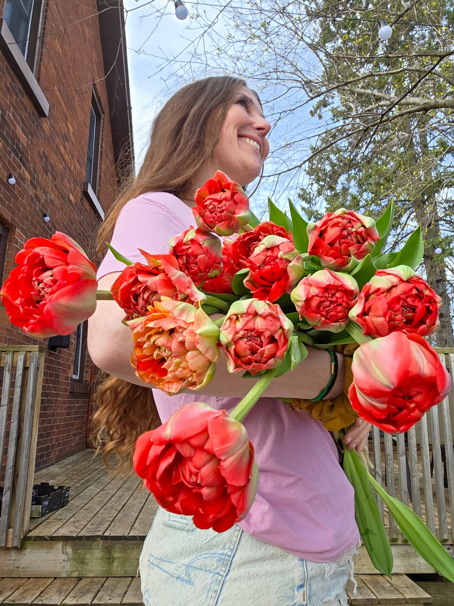 Gudoshnik Double Tulip Bulbs